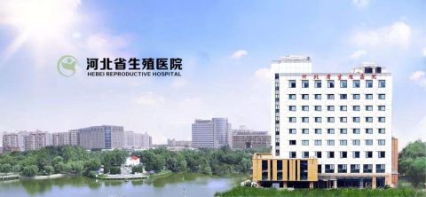 河北省计划生育科学技术研究院试管婴儿科室医院环境2