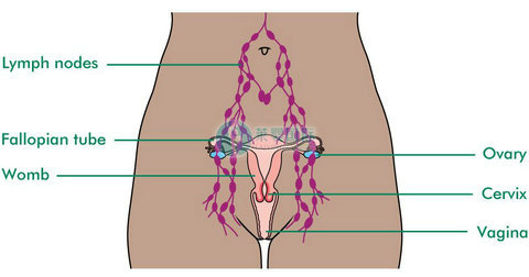 女性卵泡发育不好能自然怀孕吗？（图2）