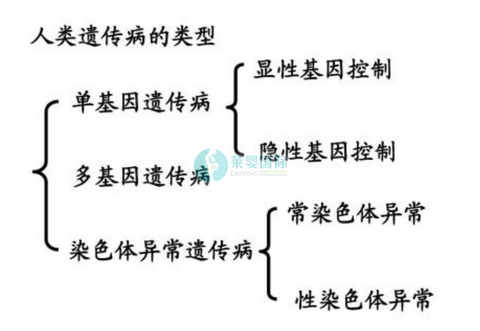 遗传病与染色体有什么关系？（图1）