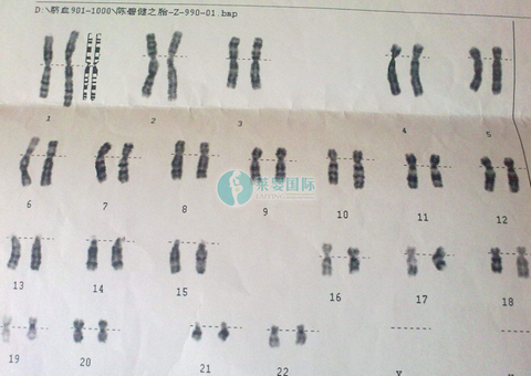 遗传病与染色体有什么关系？（图2）