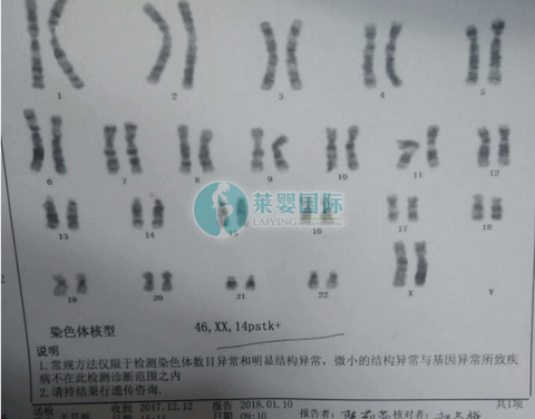 遗传病与染色体有什么关系？（图3）