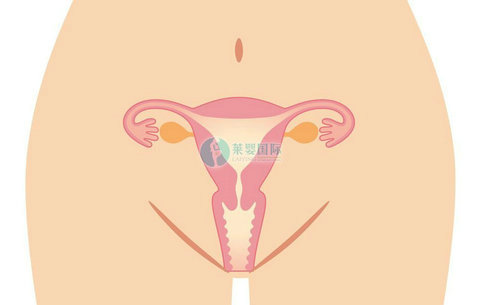 AmH正常值是多少，多囊会影响怀孕？如果生男孩会影响什么？（图3）
