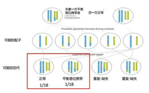 泰国全球试管生殖中心试管婴儿真实经历（图2）