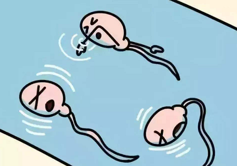 卵巢早衰报喜，在泰国暹罗试管生殖中心成功怀孕!（图2）