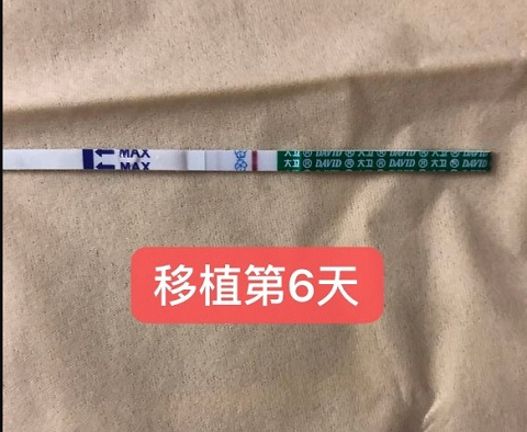 感谢泰国试管婴儿馈赠给我36岁特别的生日礼物!泰国试管婴儿生男孩案例分享。（图3）