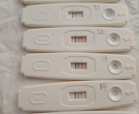 备孕3年没有成功，去泰国做试管婴儿居然一次就怀上了，感恩!(图3)