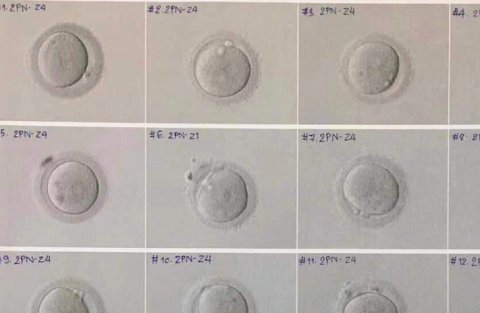 泰国试管婴儿开奖成功，我的调理保健品分享(图2)