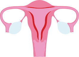 泰国试管婴儿促排对身体有害吗?促排药真的会使女性变胖吗?(图1)