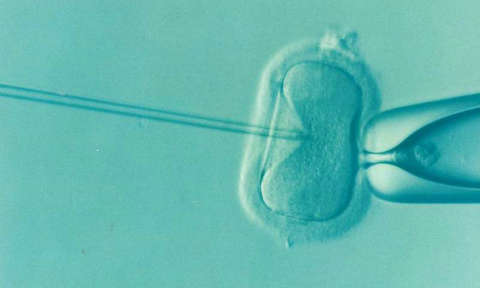 卵泡萎缩可以做泰国试管婴儿吗?(图2)