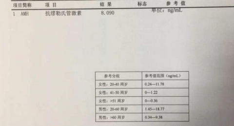 泰国试管婴儿AMH值与流产的关系是怎样的？(图1)