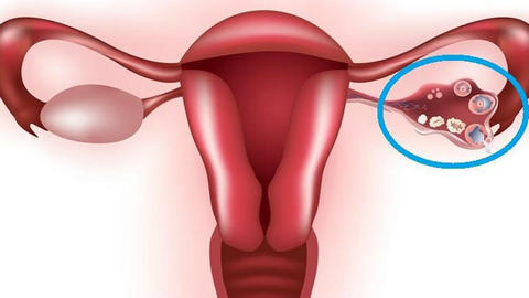 30岁女性须知，关于卵巢功能与备孕的关系(图1)