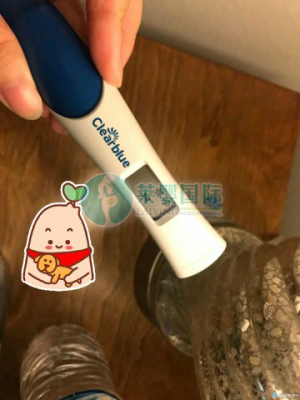为什么海外试管婴儿如此受欢迎？