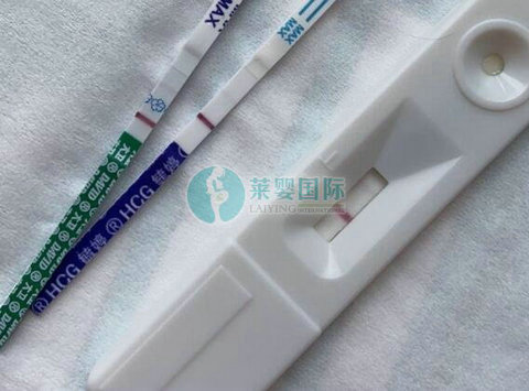 老公患无精症做台湾试管婴儿成功怀孕喜圆梦(图3)