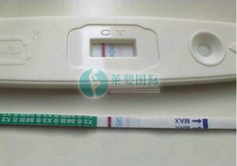 国内试管两次失败去日本做三代试管婴儿成功怀孕