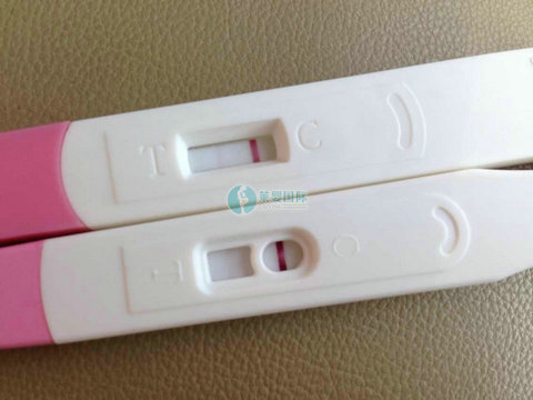 泰国转国内三代试管婴儿验孕成功，来接好孕啦
