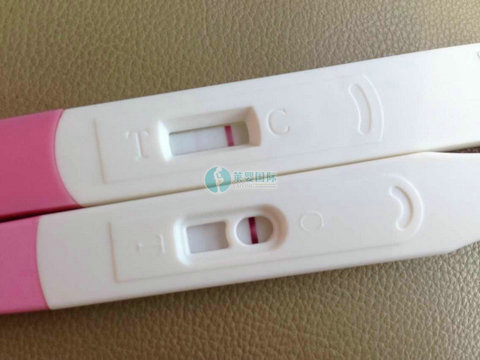 HCG268 ，深圳三代试管婴儿一次就开奖成功，接好孕啦