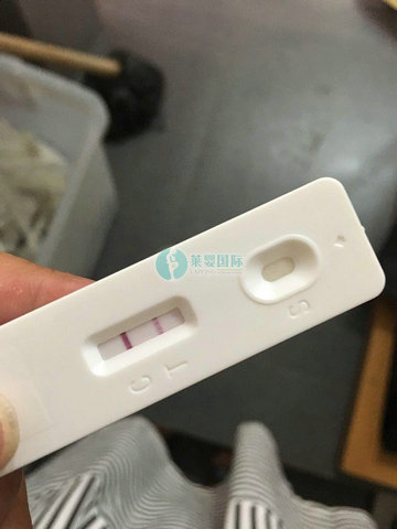 男方精子畸形深圳做第三代试管终于成功怀上男孩