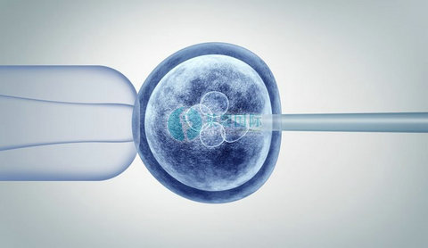 想要三代试管婴儿一次成功，提升卵子质量势在必行