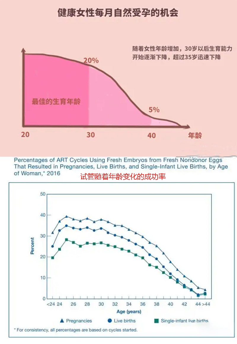 女性不同年龄生育的概率