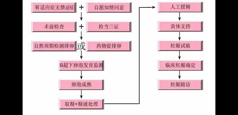 试管婴儿流程图.jpg