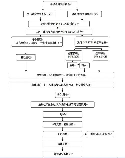 试管婴儿详细流程图.jpg