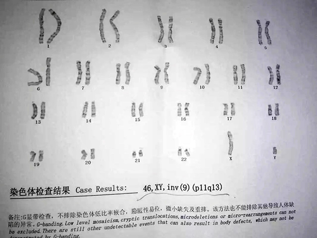 全面解析泰国第三代试管婴儿技术流程与费用