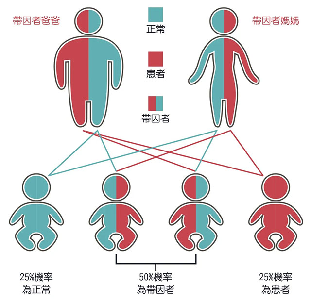 隐形致病基因.jpg