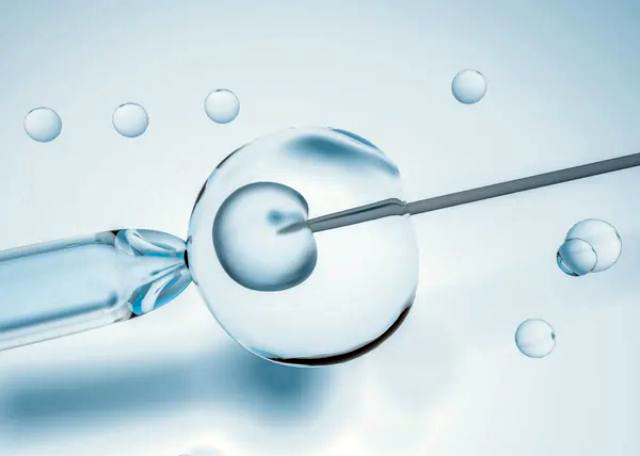 depositphotos_98590376-stock-photo-in-vitro-fertilization-research-ivf.jpg