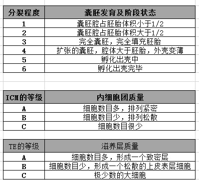 泰国试管婴儿胚胎分析囊胚评判标准