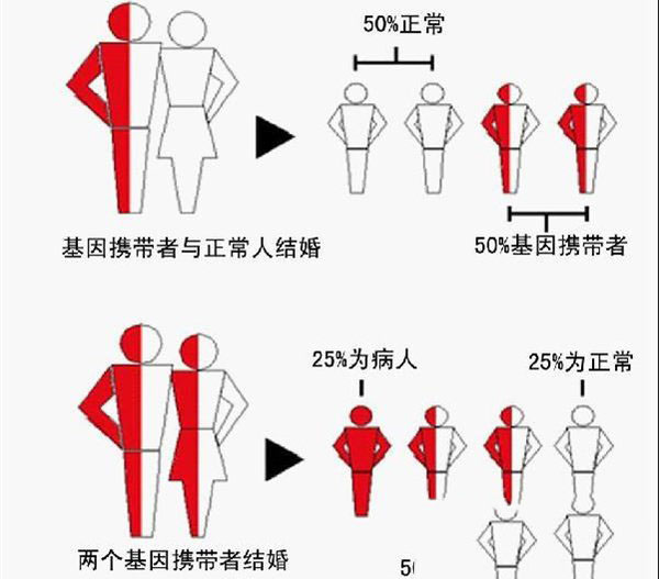 地中海贫血可以去泰国做第三代试管婴儿