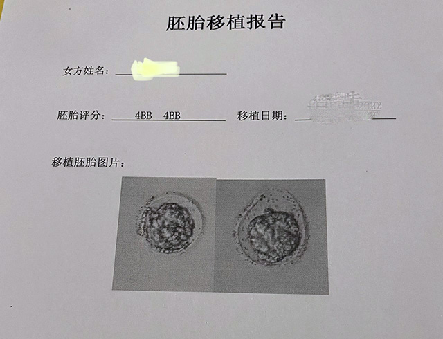 泰国做试管移植一个和二个胚胎的成功率