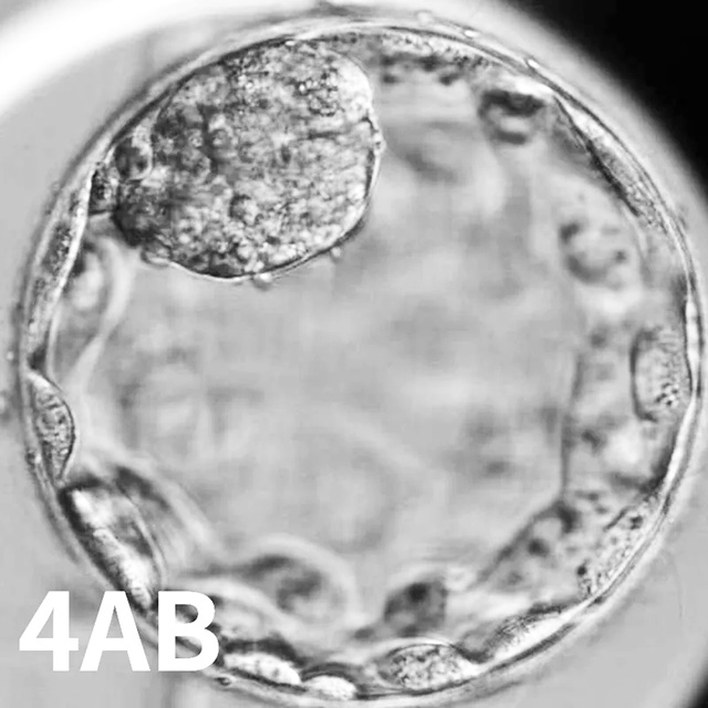 胚胎冷冻后还可以做PGS吗？