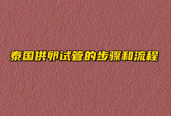 泰国供卵试管的步骤和流程