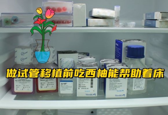 做试管移植前吃西柚能帮助着床吗.jpg