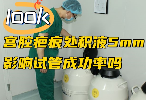 宫腔疤痕处积液5mm影响试管成功率吗