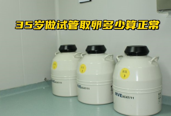 35岁做试管取卵多少算正常?35岁试管婴儿的现状