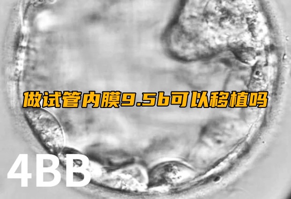 做试管内膜9.5b可以移植吗.jpg