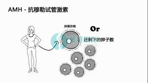 amh0.01做试管婴儿竟然成功好孕了