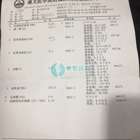 AMH0.31取卵6个泰国试管婴儿成功好孕(图1)