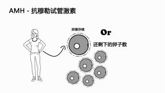 泰国试管婴儿包成功有什么猫腻吗?(图2)